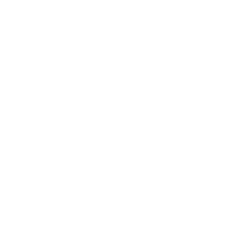 Business Consultation icon